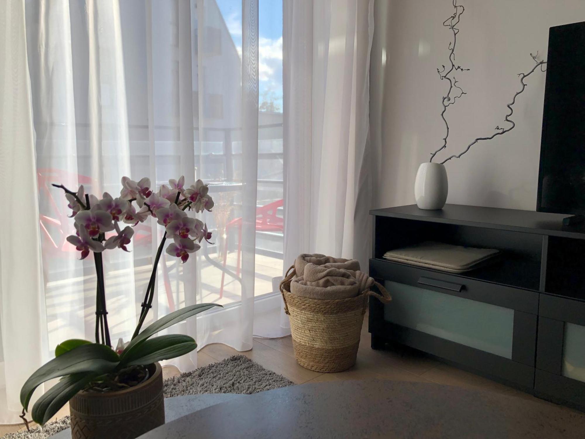 Cosy 1 Bedroom Apartment In The Heart Of Old Town With Parking Kaunas Ngoại thất bức ảnh